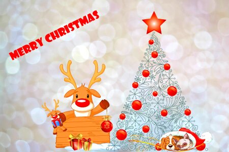 Christmas motif christmas tree greeting card