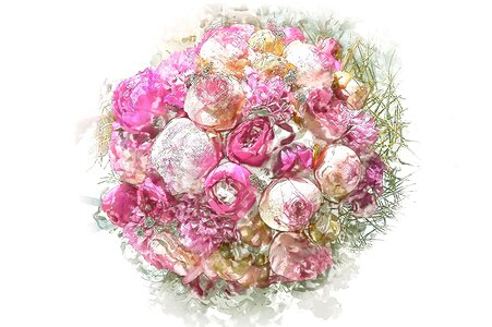 Color pink Free illustrations