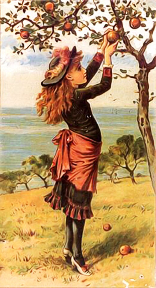 Vintage orchard harvest