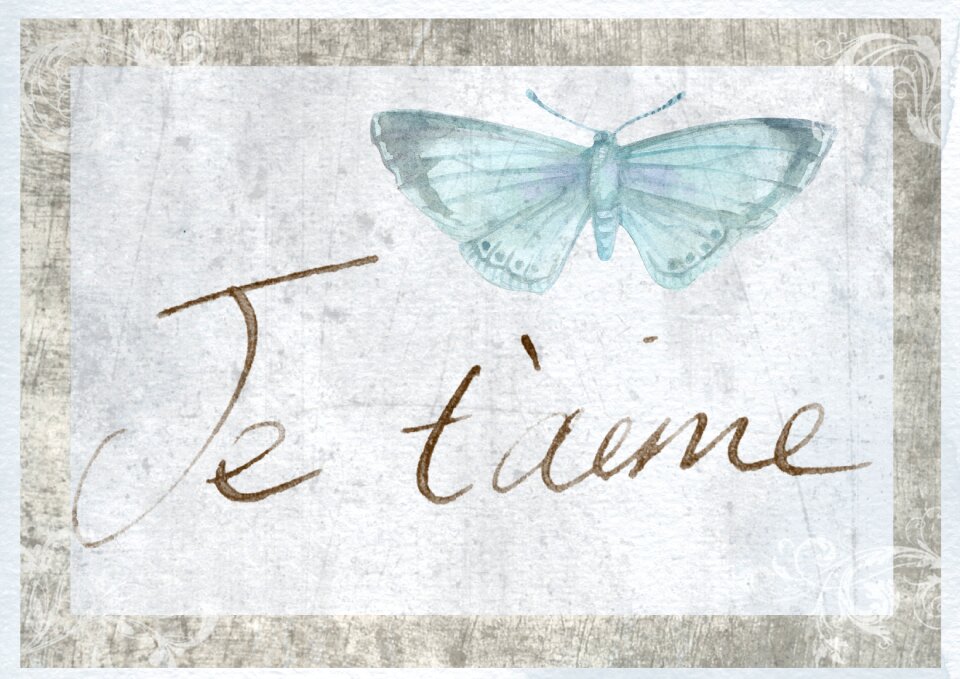Je taime i love you