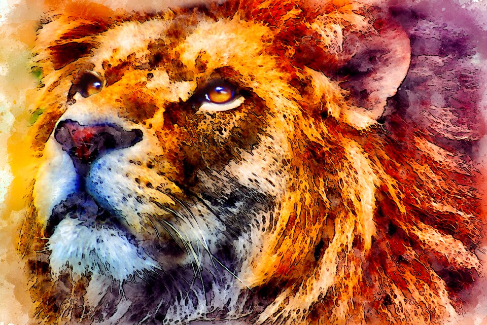 Look watercolor vintage