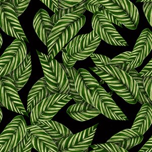 Green black green leaf