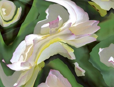 Decorative design floral