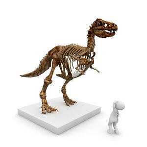 Tyrannosaurus rex dino prehistoric times