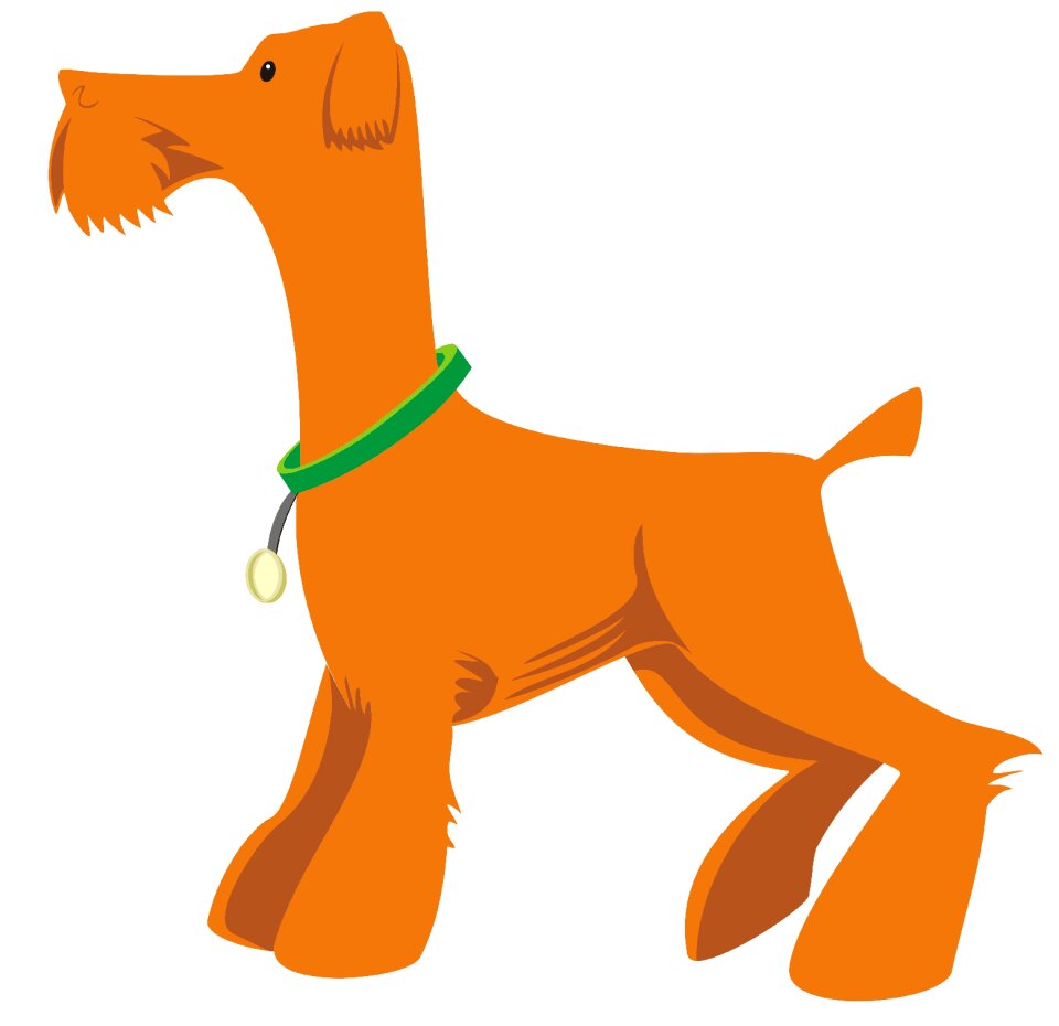 Dog friend fur