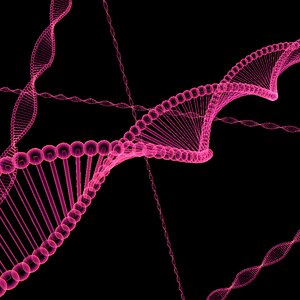 Biology module Free illustrations