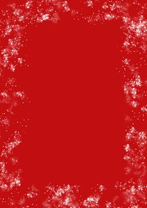 Holly snow snowflake