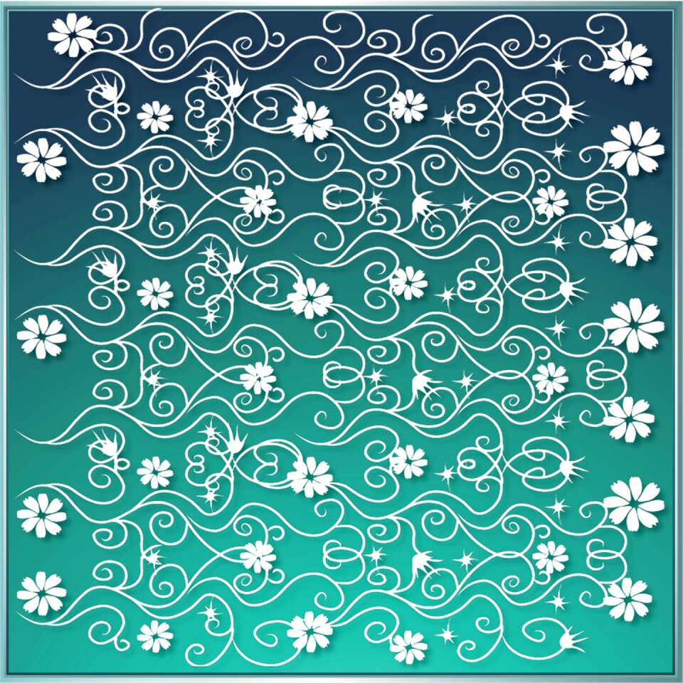 Daisy blossom summer