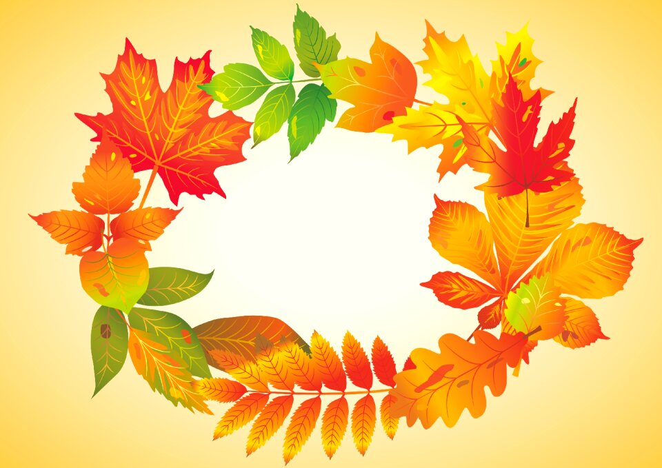 Autumn fund background