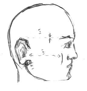 Human face bald head