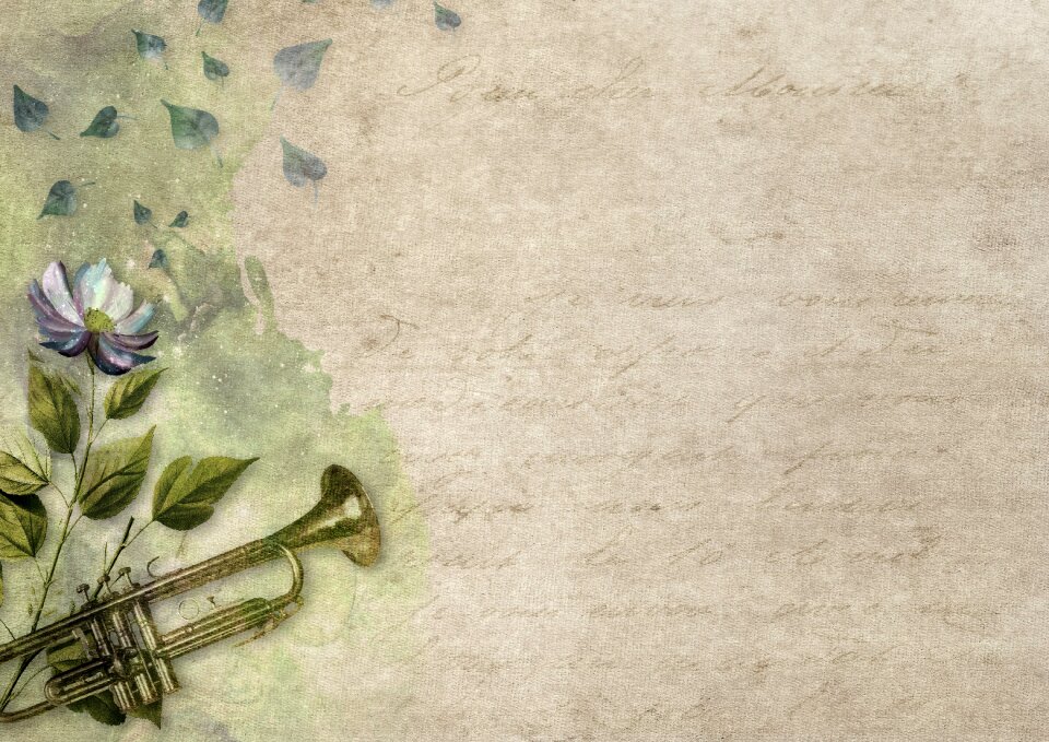 Paper vintage old