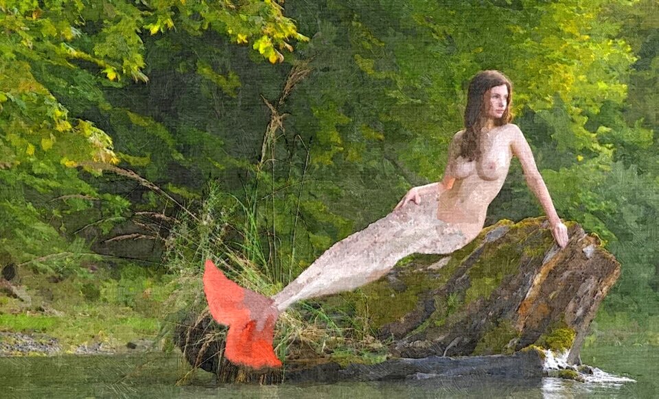 Nature water Free illustrations