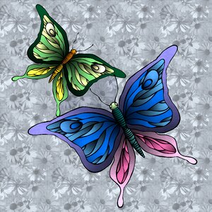 Insect wing wildlife