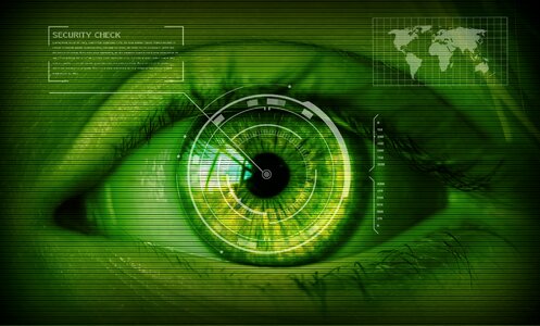 Iris scan iris access control
