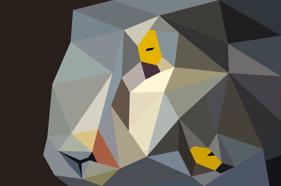 Background cat face pet