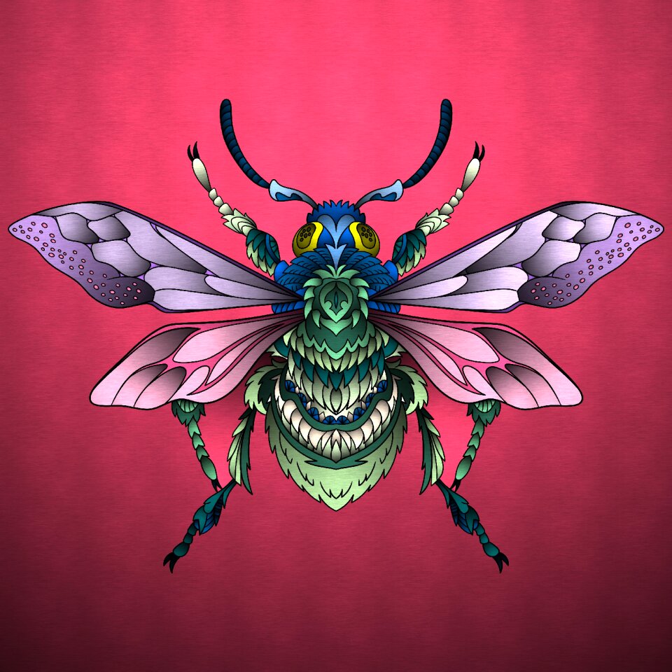 Nature wildlife fly