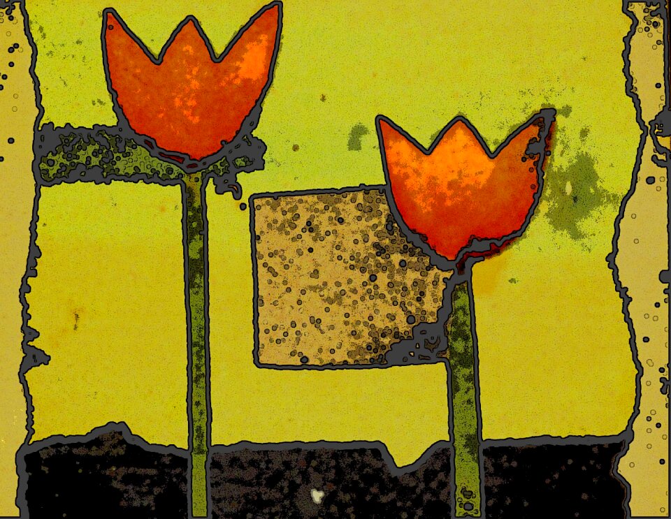 Box nature spring