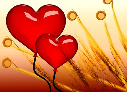 Grasses halme love