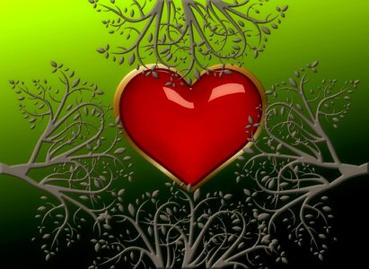 Texture heart nature conservation