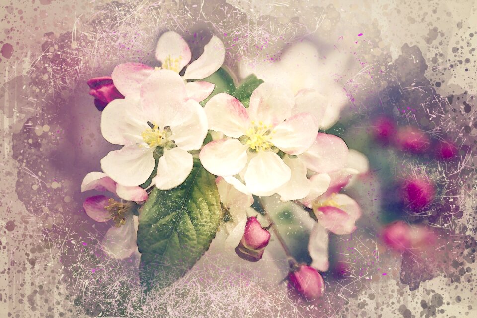 Bloom floral decoration
