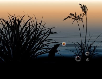 Spooky fantasy Free illustrations