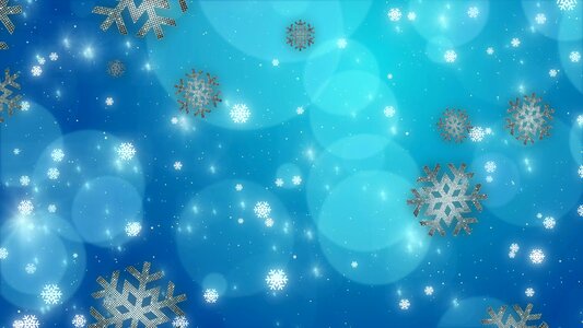 Snowflake snow vector