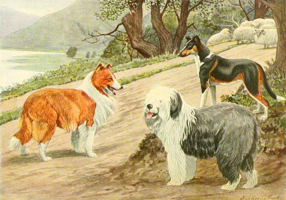 Dog trio dog Free illustrations