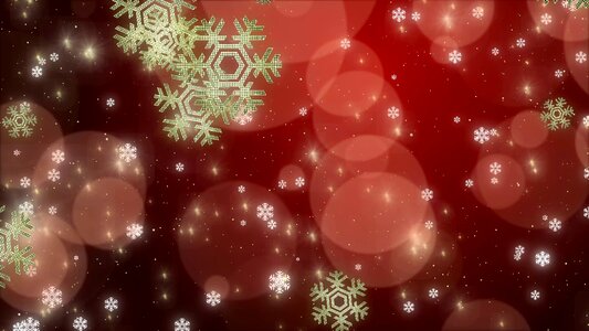 Snowflake snow vector