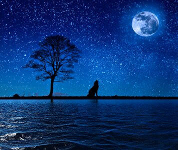 Landscape reflection Free illustrations
