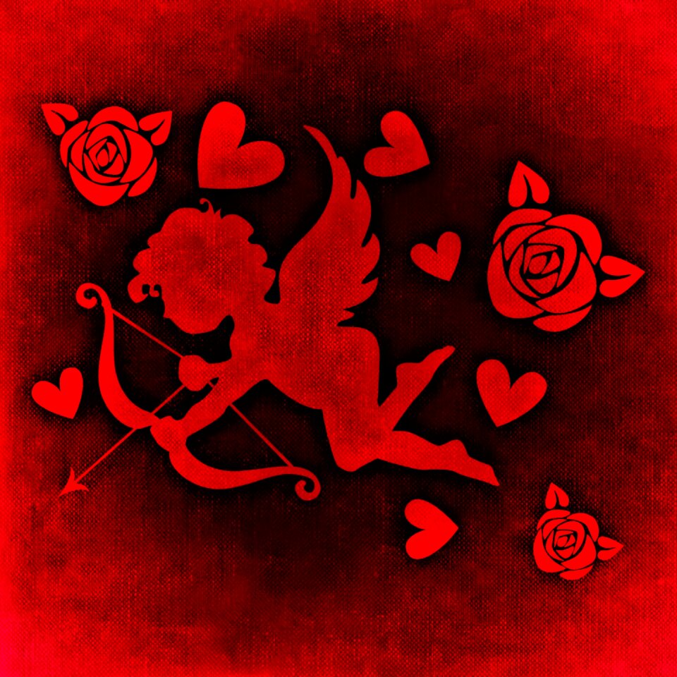 Amor romance together