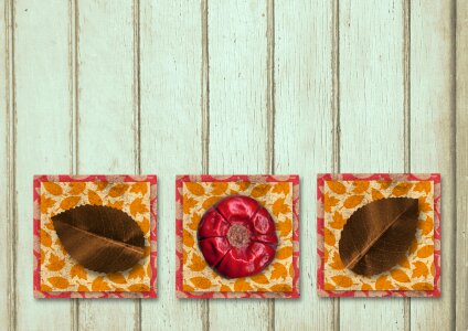 Background wooden leave