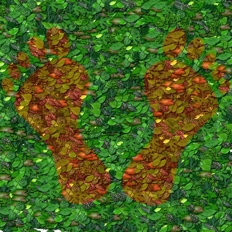 Green natural foot