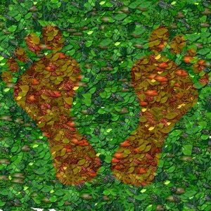 Green natural foot