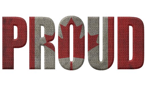 Flag pride proud