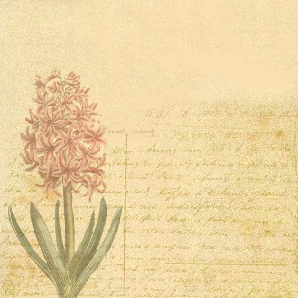 Antique botanical floral