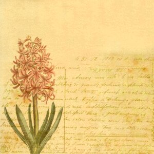 Antique botanical floral