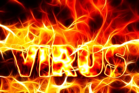 Spur trojan networking