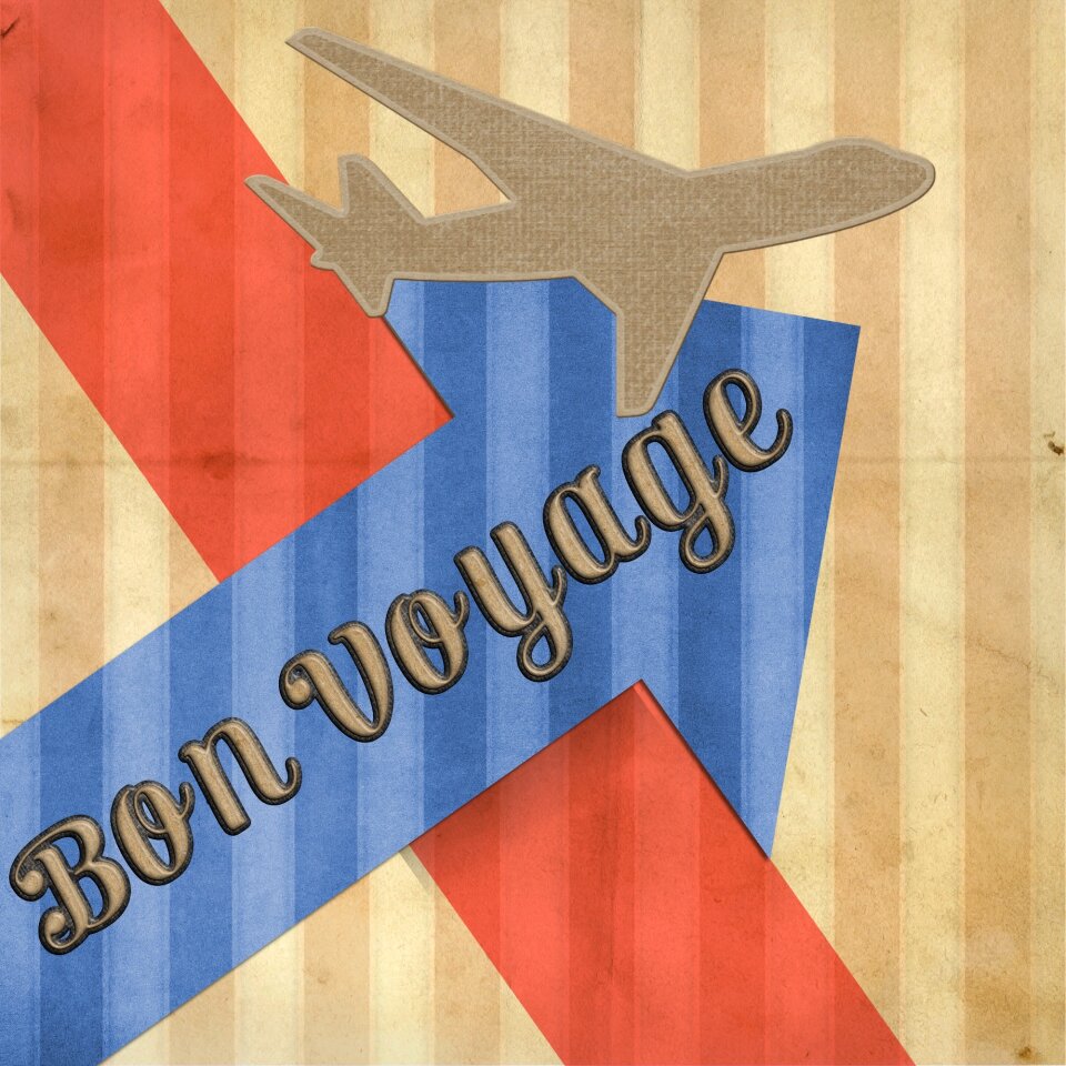 Cruise airplane fly