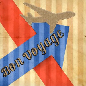 Cruise airplane fly