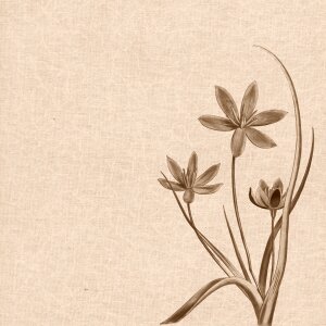 Sepia vintage backgrounds design