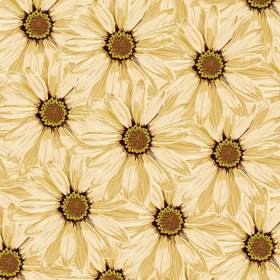 Flowers yellow yellow flowers