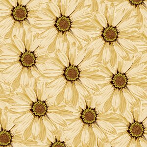 Flowers yellow yellow flowers