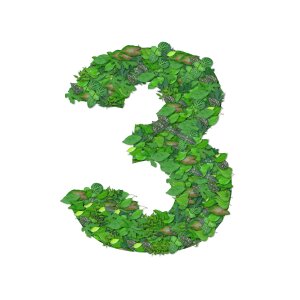 Foliage three 3
