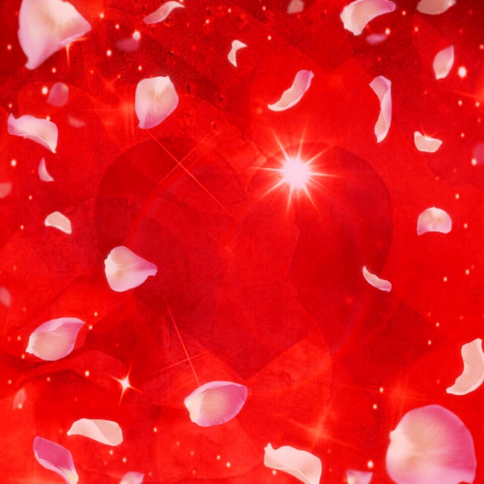 Valentine's day bright red