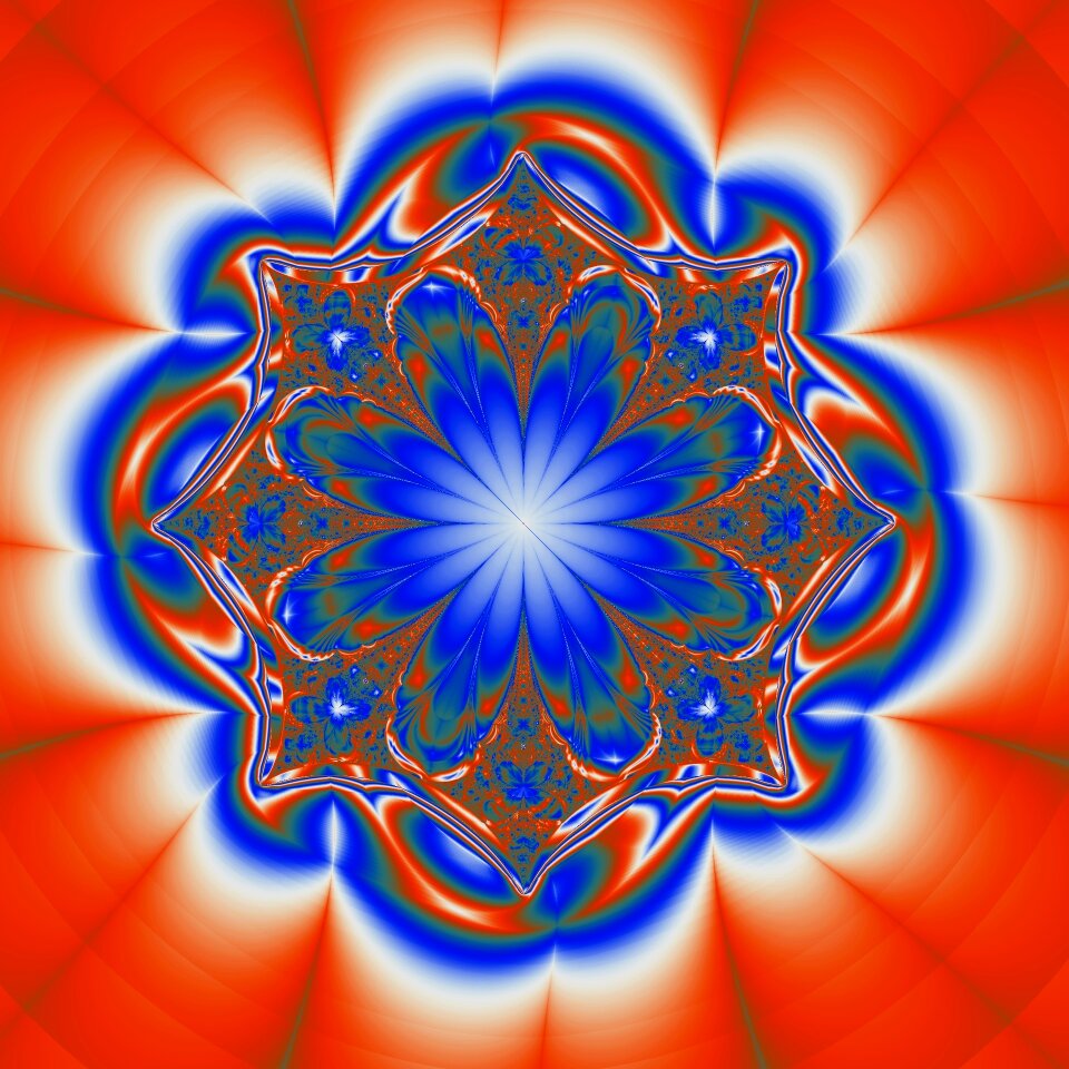 Flower blue red