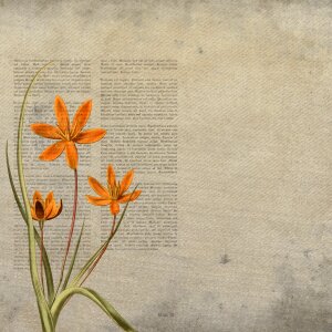 Vintage newspaper grunge