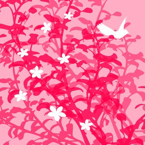 Spring background pink background