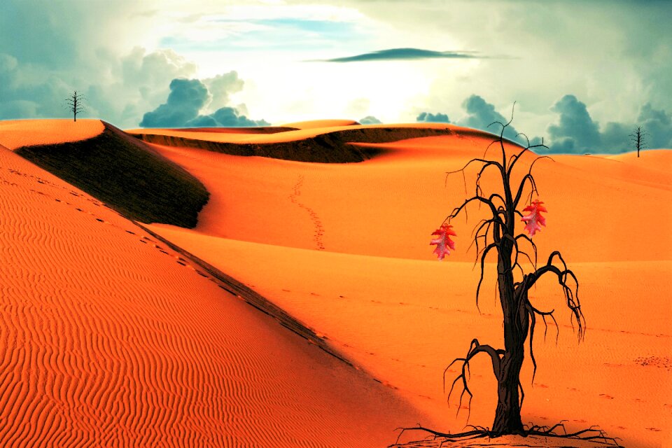 Sureal sand landscape