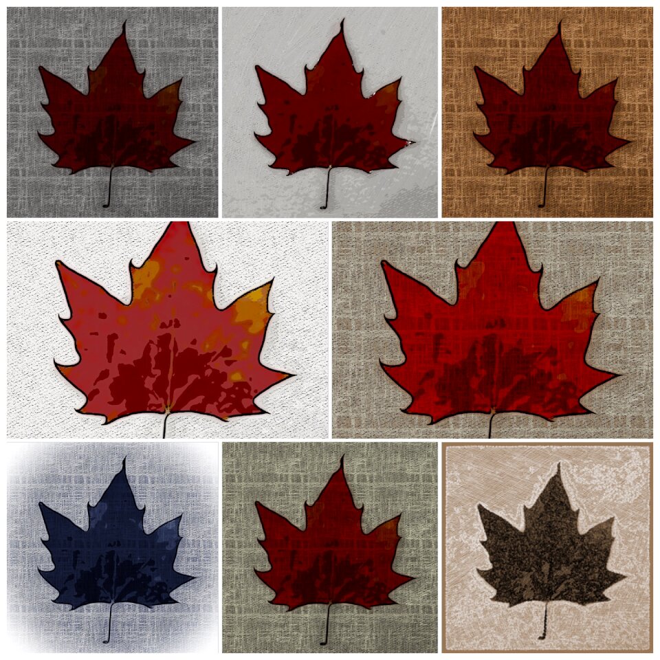 Dry leaf flying Free illustrations
