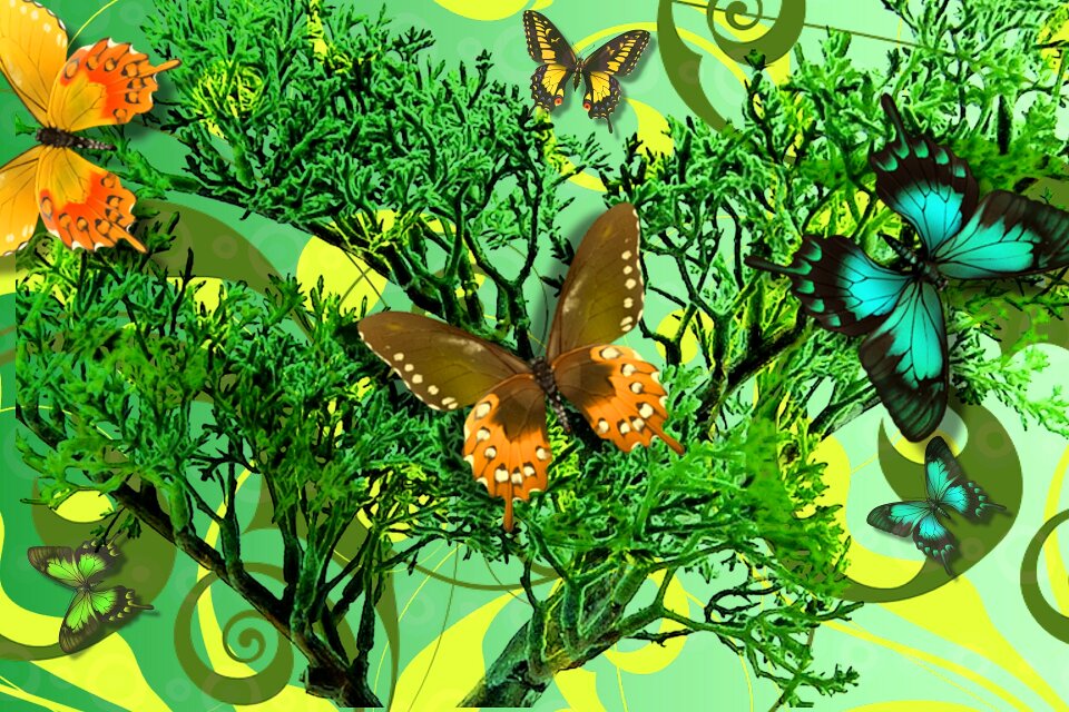 Design green vegan